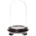 Red Barrel Studio® Keiarriyen Cloche Glass | 8.5 H x 5.5 W x 5.5 D in | Wayfair 25ED66410A074B7AA1CA607BA3253F59