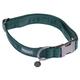 Nomad Tales Blush Dog Collar - Emerald - Size S: 30-46cm Neck Circumference, 15mm Width