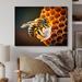 Latitude Run® Bee Flying I - Animals Bee Canvas Wall Art Metal in Black/Yellow | 16 H x 32 W x 1 D in | Wayfair 9C71C8333BCE4CB192CFC08919692045