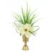 Primrue Magnolia Arrangement in Pot Polysilk | 30 H x 22 W x 19 D in | Wayfair 5B235B1135D04F75B27CB79B3AAC8231