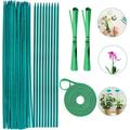 Casewin Green Bamboo Plant Stakes Garden Stakes 15 inch 50 PCS Wood Stakes for Vegetables/Floral Bamboo Plant Support for Indoor &Outdoor Plants with 50 Garden Ties Sign Posting Garden Sticks