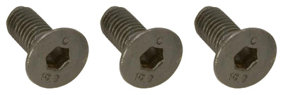 Warwick FRTBMSP Mounting Screws