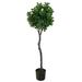 Primrue 48" Artificial Ficus Topiary in Planter Polyester/Plastic | 48 H x 17 W x 17 D in | Wayfair 4D776EDC4C854A8D9FD2A53A0863191D