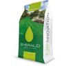 Emerald - Semi di erba per prato soleggiato a foglia fine - da 1 kg - turf innovation