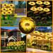 Solar Lights Outdoor Garden Decor - Upgraded 2/4/8 PC Solar Garden Sunflower Lights Waterproof Solar Outdoor Lights Auto ON/Off Solar Decorative Lights for Garden Patio Backyard