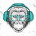 Trinx Hipster Monkey w/ Headphones by - Wrapped Canvas Graphic Art Canvas in Black | 12 H x 12 W x 1.25 D in | Wayfair