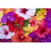 Bay Isle Home™ Hibiscus Flowers Canvas in Red/White/Yellow | 20 H x 30 W x 1.25 D in | Wayfair 32E61BF389674760BC5961CA7137C584