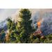 Millwood Pines Sighwarth Fire In Pine Forest by Verve231 - Wrapped Canvas Photograph Canvas in Gray/Green | 8 H x 12 W x 1.25 D in | Wayfair