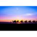 Ebern Designs Aubriee Camel Ride At Sunset by Jodie777 - Wrapped Canvas Photograph Metal in Black/Blue/Pink | 32 H x 48 W x 1.25 D in | Wayfair