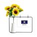 Outline Flag State Kentucky Artificial Sunflower Vases Bottle Blessing Card