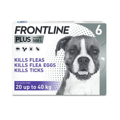 Frontline Plus Spot On | L (20-40kg) | 6 Pipettes | Dog Flea & Tick Treatment