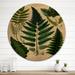 August Grove® Fern on Retro Victorian Chart VII - Floral Ferns Wood Wall Art - Natural Pine Wood in Brown/Green/White | 29 H x 29 W x 1 D in | Wayfair