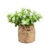 Farfi Artificial Flowers Eye-catching Hemp Rope Bag Decorative Mini Fake Charming Potted Plants for Home (Milky White)