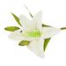 Farfi 1 Pc Fake Flower Charming Decorative Plastic Floral Arrangement Artificial Lily Flower Party Decor (White)