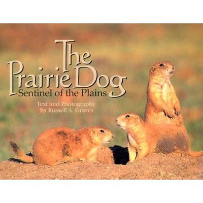 The Prairie Dog: Sentinel Of The Plains