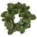 Green Magnolia Leaf Spring Artificial Wreath, 22-Inch, Unlit