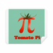 Calculating Mathematical Pi Tomato Cleaning Cloth Screen Cleaner 2pcs Suede Fabric