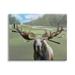 Stupell Funny Golf Clubs Moose Antlers Animals & Insects Painting Gallery Wrapped Canvas Print Wall Art