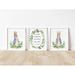 3 Pieces Nursery Wall Art Prints Even The Smallest One Can Change The World Rabbit Quote Posters Canvas Painting for Kids Room Decor Baby Gift With Inner Frame