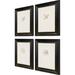 Paragon Restoration S/4 by the Studio - 4 Piece Single Picture Frame Painting Set Paper, Wood in Black/White | 20 H x 16 W x 2 D in | Wayfair 22745