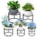 Red Barrel Studio® Belcara 5 Piece Plant Stand Set Metal | 6.2 H x 9 W x 9 D in | Wayfair 9C9C2A53F5B748E897FA9349FD8E07B5