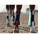 Ride Now Horse Tendon Boots Open Front/Fetlock Boot for Horse Set of 4 (Pony, Mint)