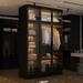 Wardrobe Armoire Wooden Closet with Tempered Glas Door With LED Light