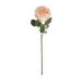 Farfi Artificial Rose Vivid Not Withered Decorative Fake Rose Flowers Ornaments Home Decor (Champagne)