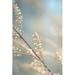 Ebern Designs Devatt Golden Branch I by J:L Design - Wrapped Canvas Print Canvas in Blue | 30 H x 20 W x 1.25 D in | Wayfair