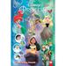 Pre-Owned Disney Princess: Friends Family Fantastic (Paperback 9781506716701) by Amy Mebberson