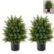 TANGZON 2 x Artificial Cedar Topiary Trees, Faux Pine Cypress Cedar Bushes Plant in Cement Pot, Indoor Outdoor Potted Decorative Plants for Home Office Yard