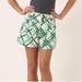 Anthropologie Shorts | Anthropologie Hei Hei Green White Plaid Women's Shorts Size 2 | Color: Green | Size: 2