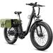 Heybike Explore Electric Bike for Adults 750W Brushless Motor with 48V 20AH Removable Battery 26 Fat Tire Step-Thru Ebike Electric Mountain Bicycles for Mens Womens