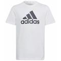adidas Essentials Big Logo Cotton - T-shirt - ragazzo