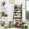 Funkeen 4-Tier Folding Ladder Plant Stand Flower Pot Rack Wooden Shelf Display Holder