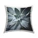 Stupell Industries Botanical Succulent Plant Square Decorative Printed Throw Pillow 18 x 18