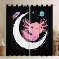 Kids Cute Axolotl Curtains for Bedroom Living Room Cartoon Outer Space Salamander Window Drapes Boys Girls Kawaii Ocean Sealife Window Curtains Reptile Animal Window Treatments, W52*L63