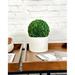 Ophelia & Co. Faux Preserved Boxwood Plant Preserved | 7.25 H x 7.25 W x 7.25 D in | Wayfair 1A664215A1704C5BBBE90E2312774025