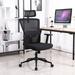 Inbox Zero Ishmaan Ergonomic Mesh Task Office Chair w/ Adjustable Armrest Upholstered/Mesh in Black | 50.4 H x 22.4 W x 21.7 D in | Wayfair