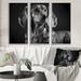 Latitude Run® Portrait Of A Black Dachshund V Portrait Of A Black Dachshund V - 3 Piece Print on Canvas Metal in Black/Gray | Wayfair