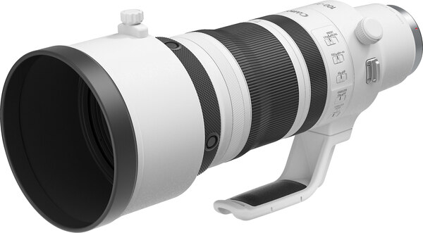 Canon RF 100-300mm f/2.8 L IS USM