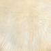 Lambzy Dynasty Bear Shape Natural Luxury Long Wool Sheepskin Shag Rug Light Beige 3 6 x 5 6 4 x 6 Living Room Bedroom N/A