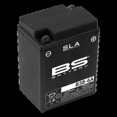 BS BATTERY SLA Battery Maintenan...