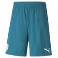 Puma Manchester City FC Shorts 2022/2023 Mens - Blue