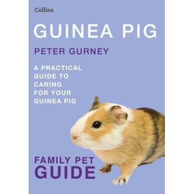 Guinea Pig (Collins Family Pet Guide)