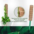 Effective Coir Plant Grow Stake (1 Set) - Stable Anti-cracking Plant Climbing Stake with Tip Point for Garden