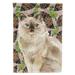 Carolines Treasures CK3097CHF Ragdoll Pine Cones Flag Canvas House Size Large multicolor