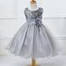 little Girls Cinderella Lace Princess Dress Pageant Ball Gowns Kids Tulle Flower Girls Dresses