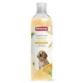 2x250ml shampooing beaphar pour chiots