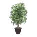 Primrue Artificial Japanese Maple Series Silk/Plastic in Brown | 48 H x 28 W x 28 D in | Wayfair D86F971FEA5F469C878454CBD834C96E